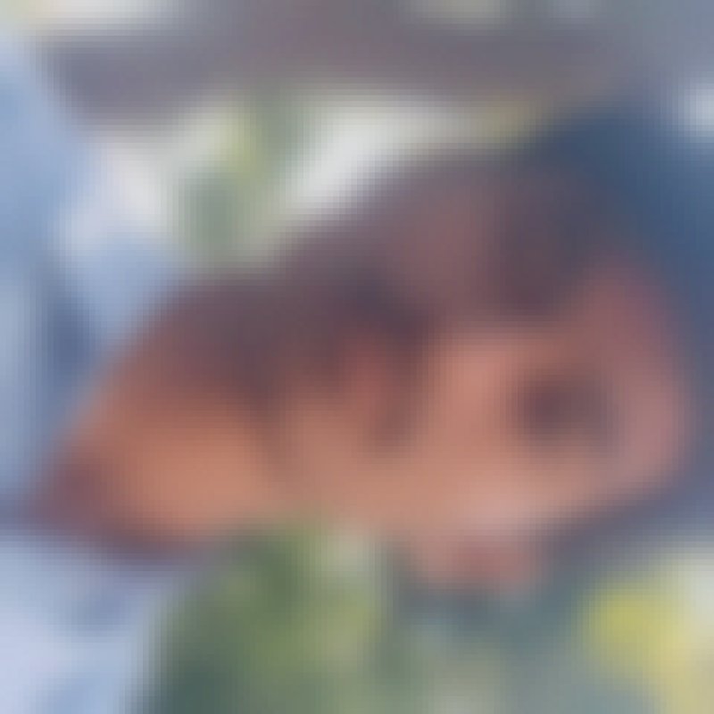 Krishan, 56, Thaba Nchu