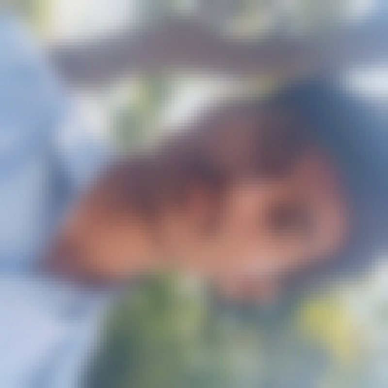 Krishan, 56, Kumaramputtr