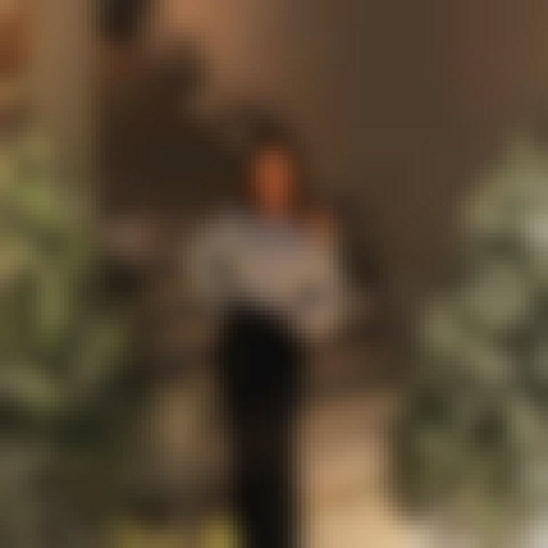 alona, 35, Mason City