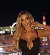 Sophia love, 33, Opuwo