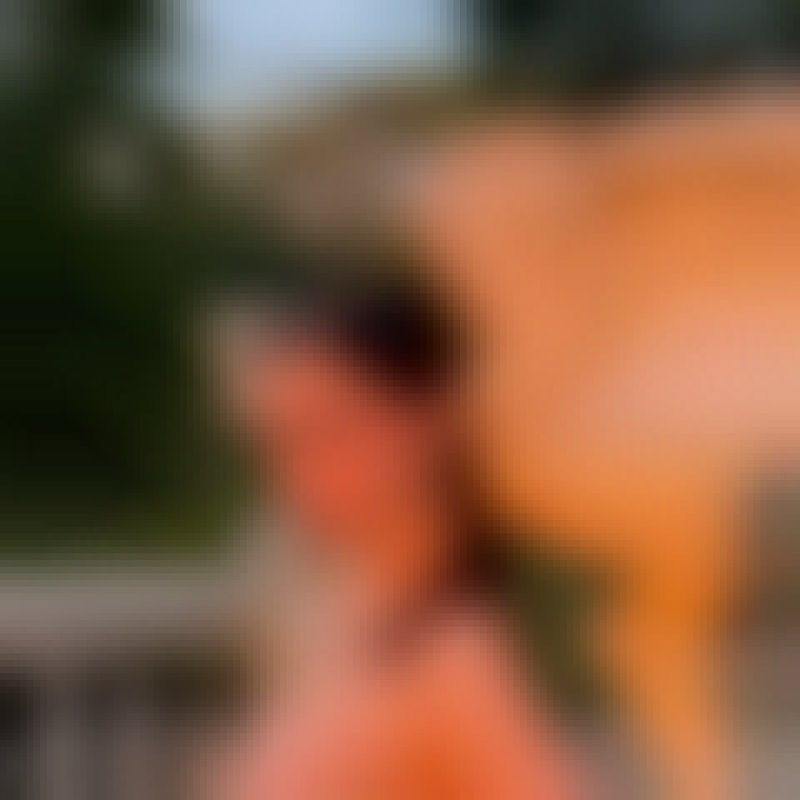 Victoria, 25, India