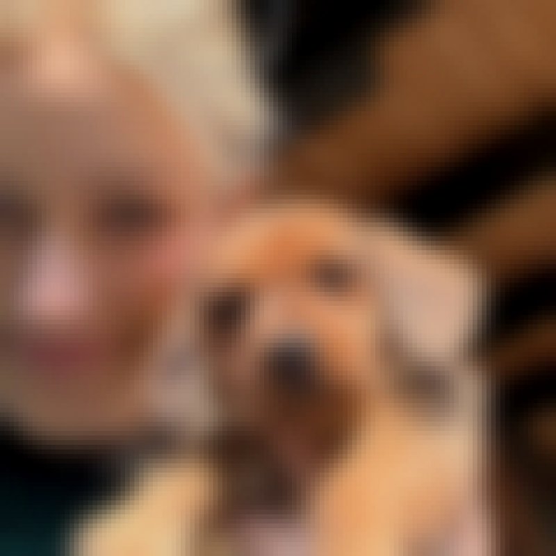 Maria, 31, Latvia