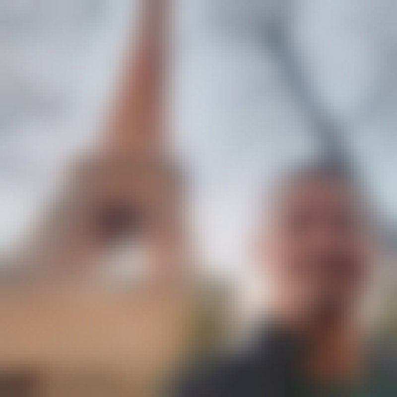 fredrique, 48, Hoofddorp