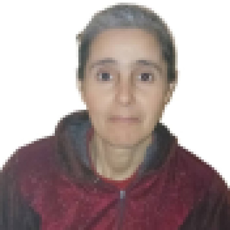 fatiha daoudi, 47, Santa Cruz Balany