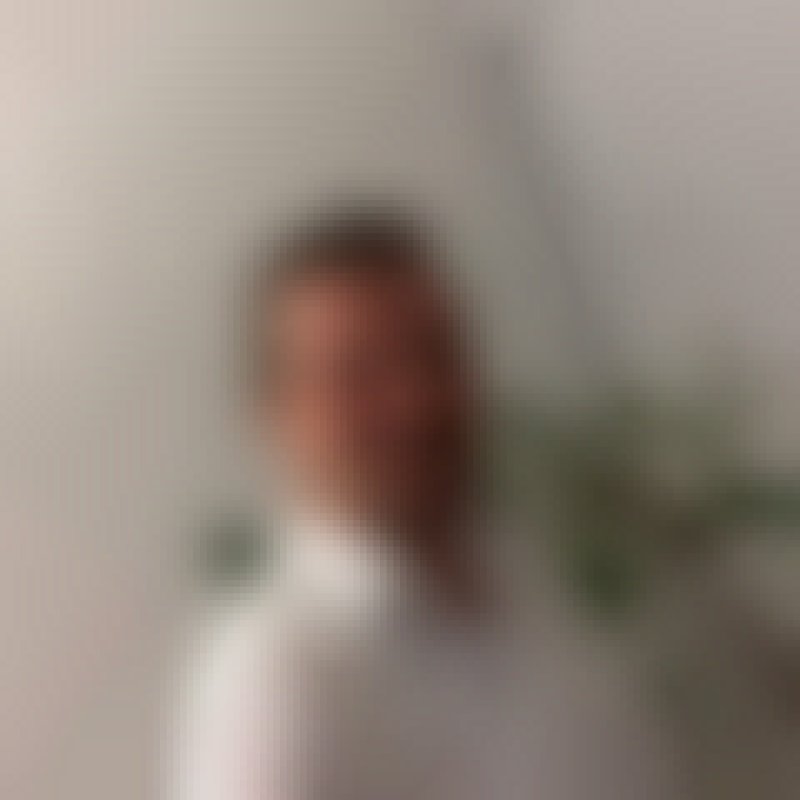 Tico, 63, Aves
