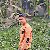 Md Monir, 25, Ben Ahmed