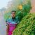 Arif khan, 25, Ferneyvoltaire