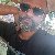 Shohag, 35, Austria