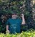 DwayneGazz, 53, Voi