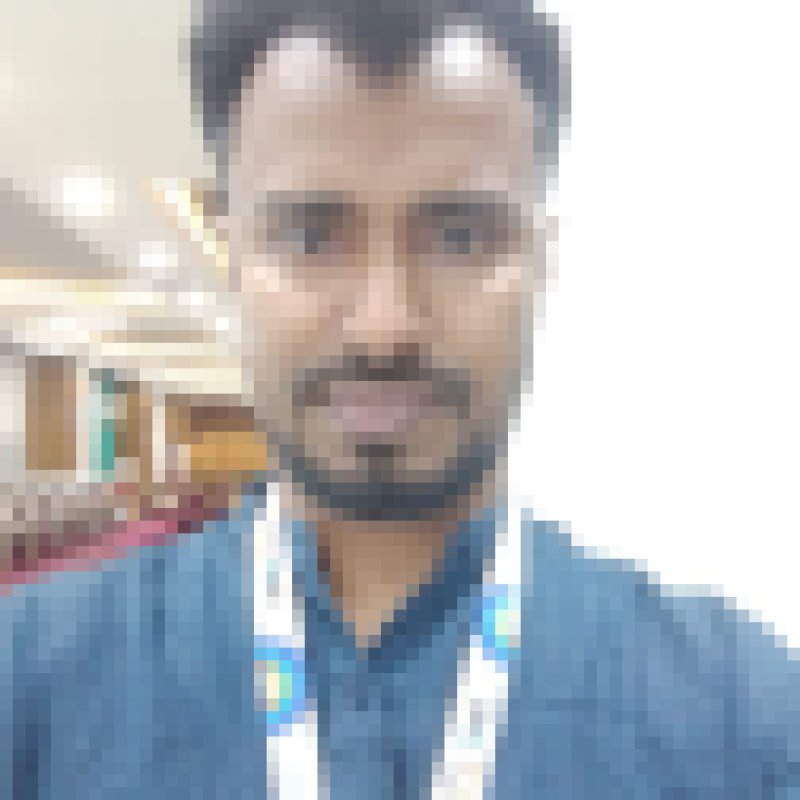 Hasan Rizvi, 35, Paittr