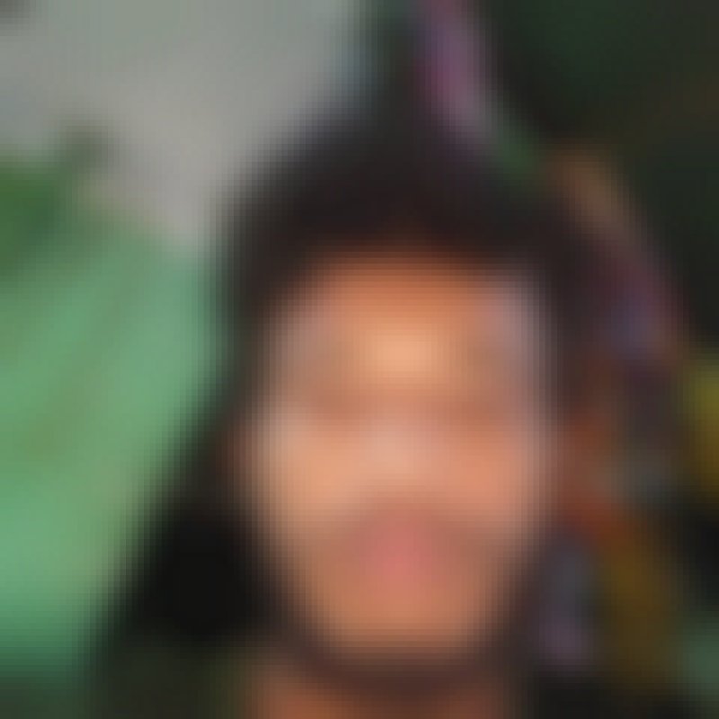 IH Manik, 30, Paal