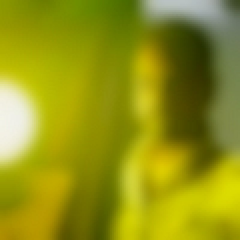 Munna, 31, Hoofddorp