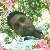 Sahidul Islam, 35, Palmas De Monte Alto