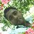 Sahidul Islam, 35, Germany