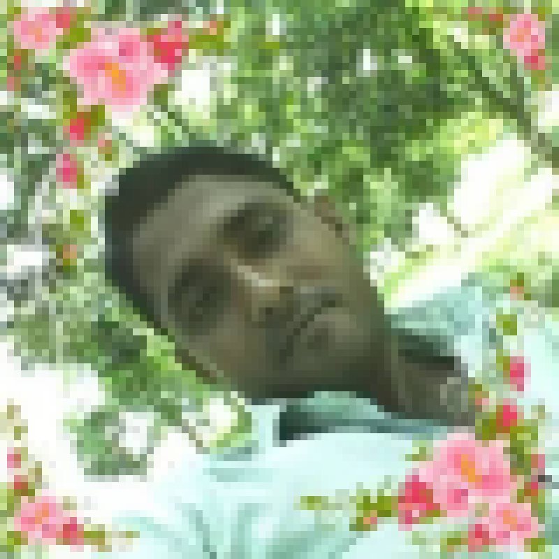 Sahidul Islam, 35, Colmar
