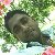 Sahidul Islam, 35, Tucum
