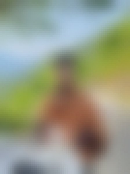 Shuvo, 23, Dashouping