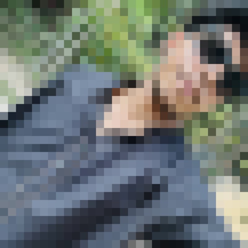 ABIR, 18, Bandare Deylam