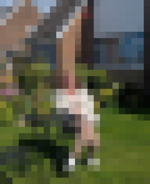 Holz, 51, Dhanauli