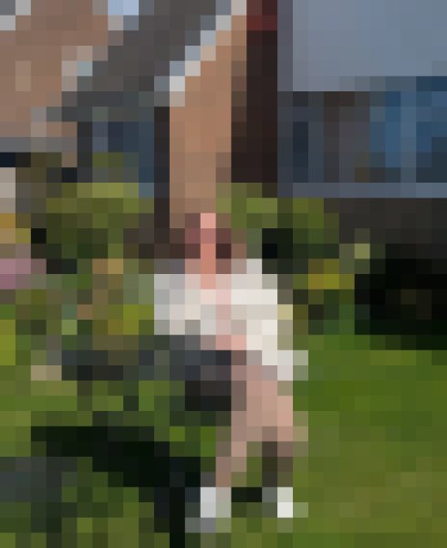 Holz, 51, Wickford