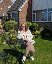 Holz, 51, Polack