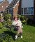 Holz, 51, Broxbourne