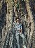 Riyad, 22, Casale Sul Sile