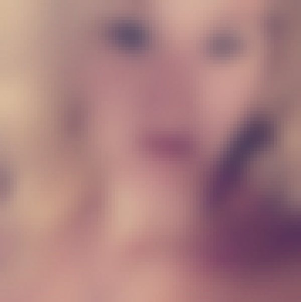 Holz, 47, Canagatan