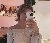 Silvia, 40, Bardmoor