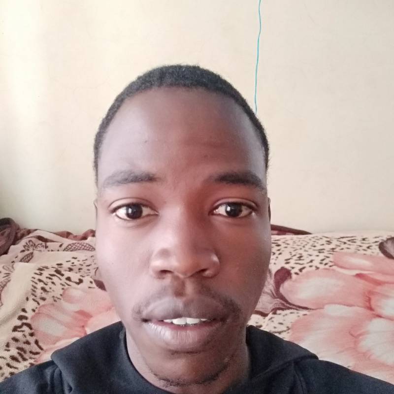 Ari ChirChir