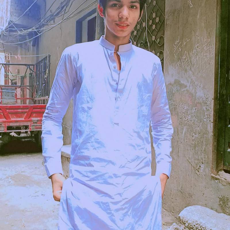 Aneeb Ali