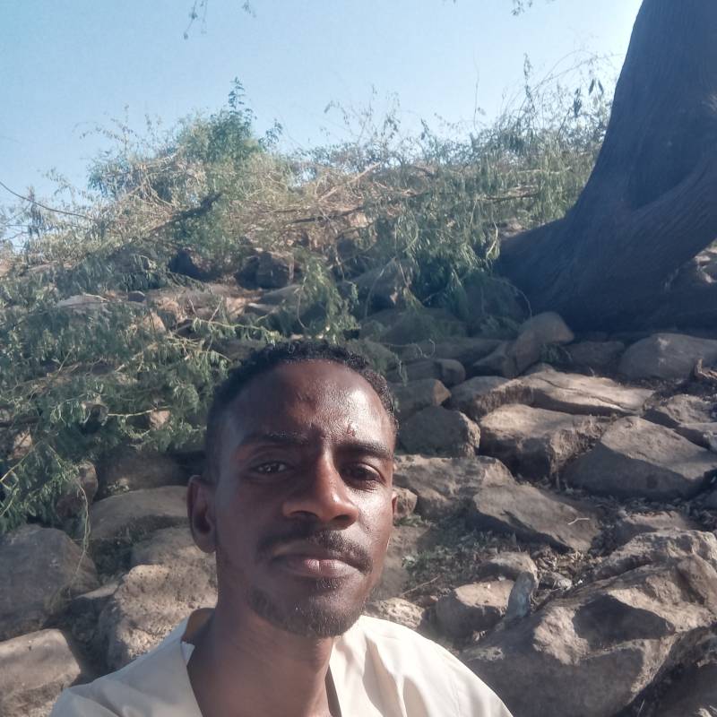 https://letsfreedate.com dating Sudan❤️eagle in Sudan