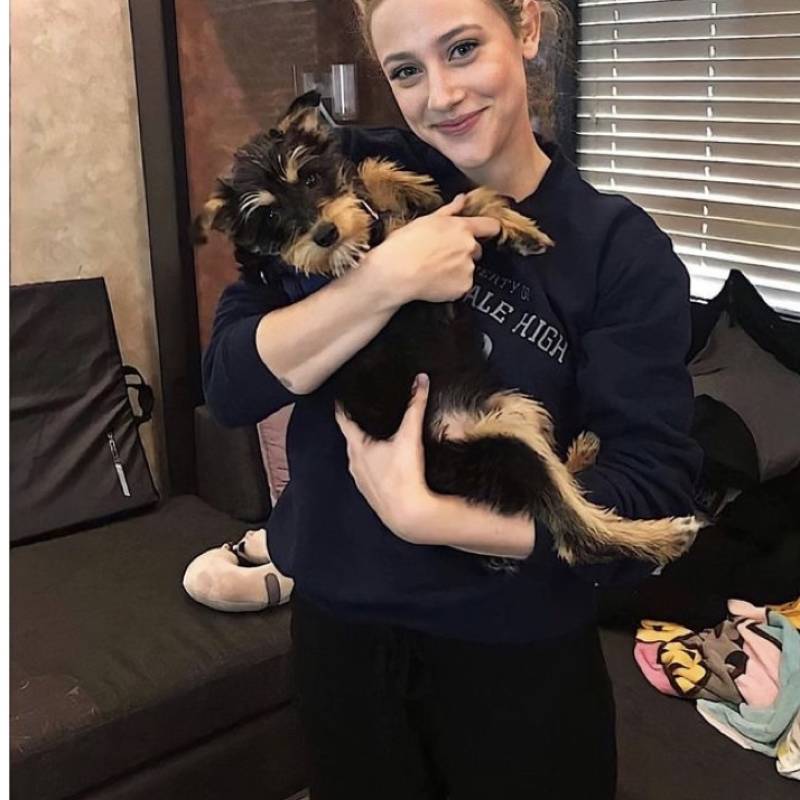 Sandradupond33168 dating