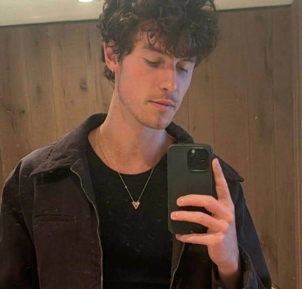 Shawnmendes96160 dating