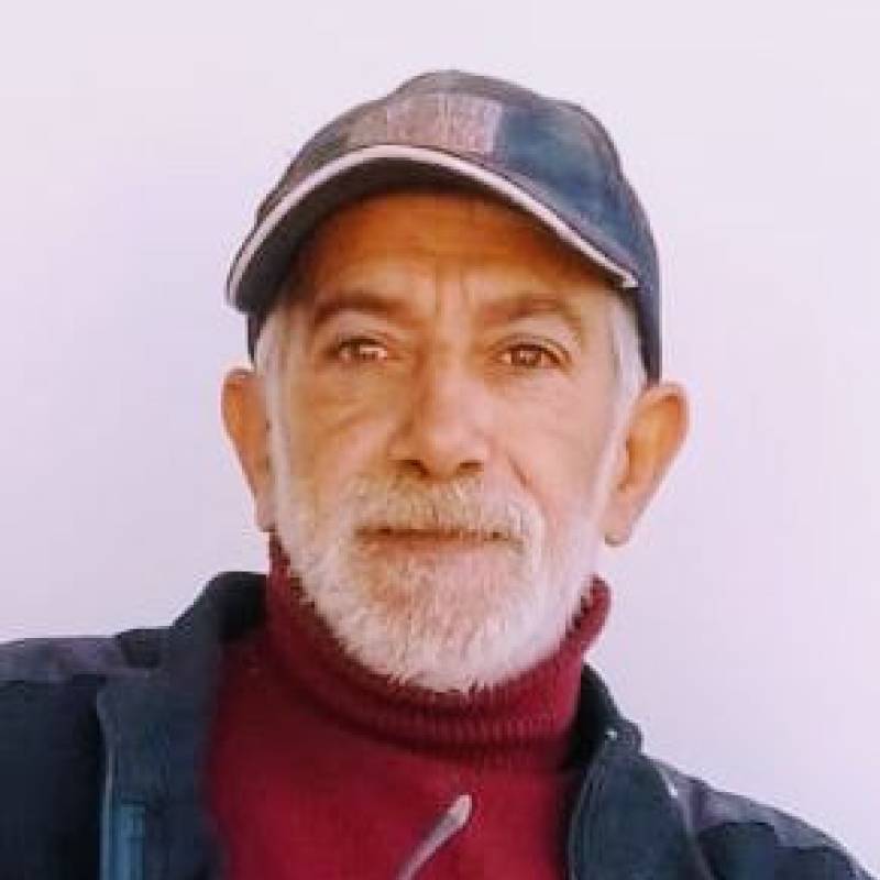 Adel60221 dating